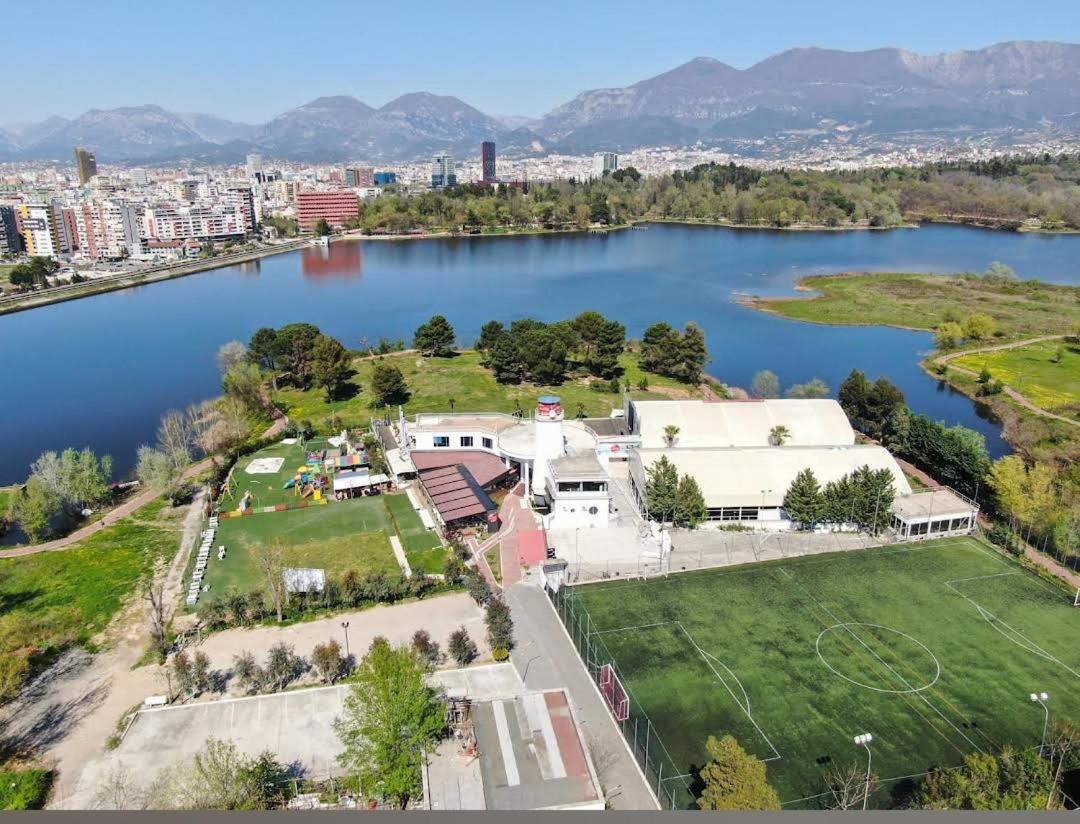 Olive Tree Tirana